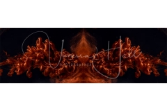 Dragon's Lair Watermark